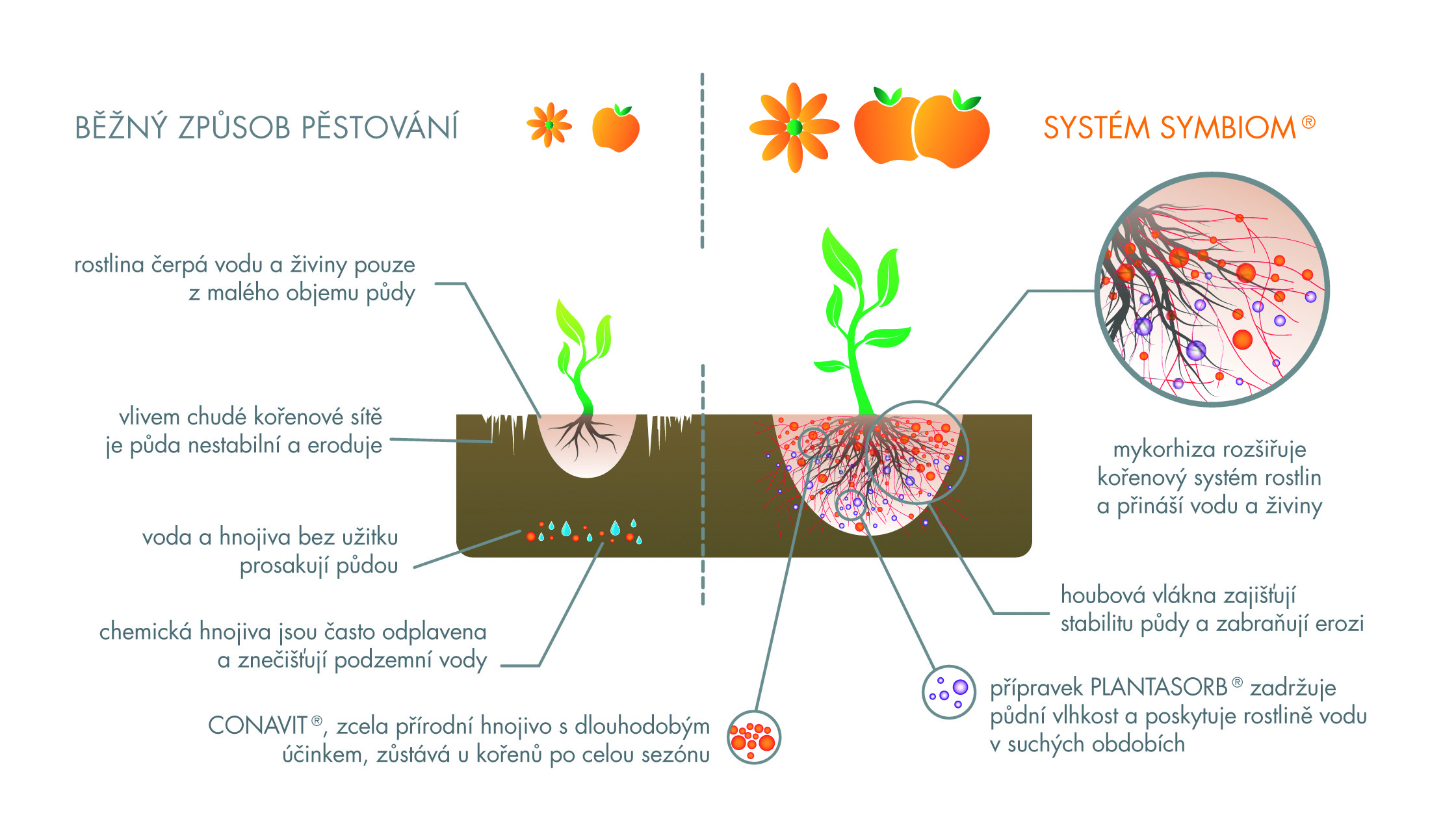 Symbiom schema_cmyk